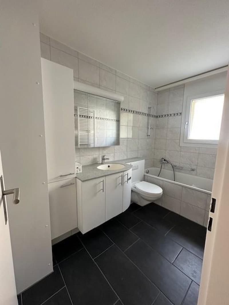 Neu sanierte 3.5-Zimmerwohnung in Zürich (9)
