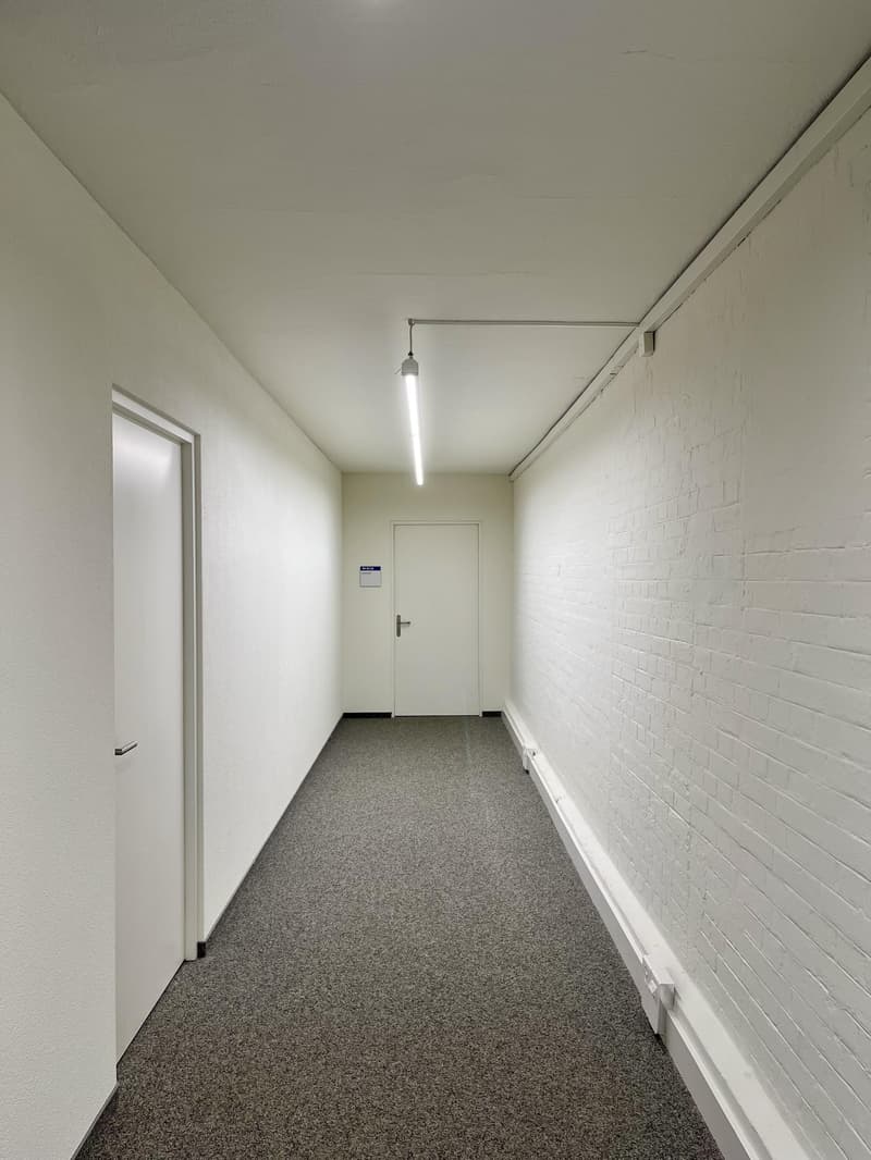 Gewerbe in Wädenswil (6)