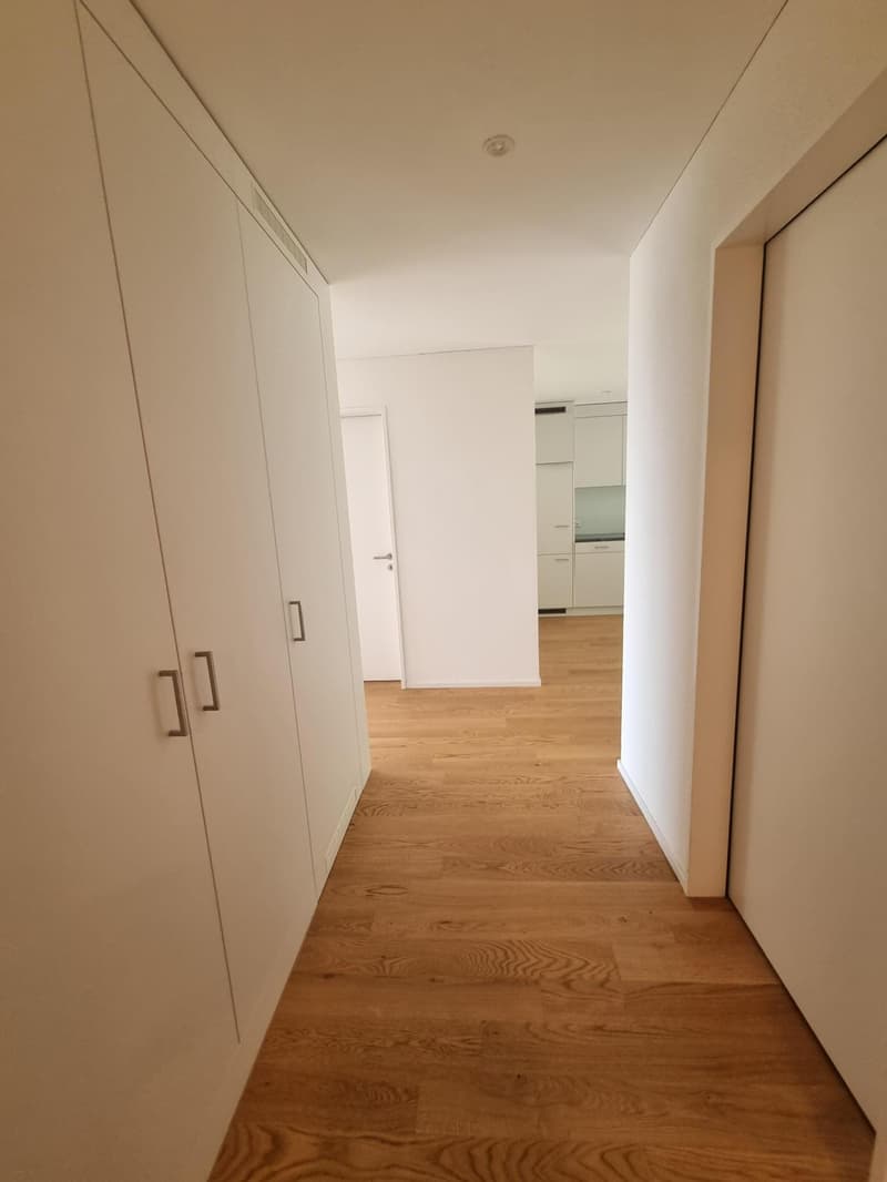 3.5 Zimmerwohnung in Horgen (3)