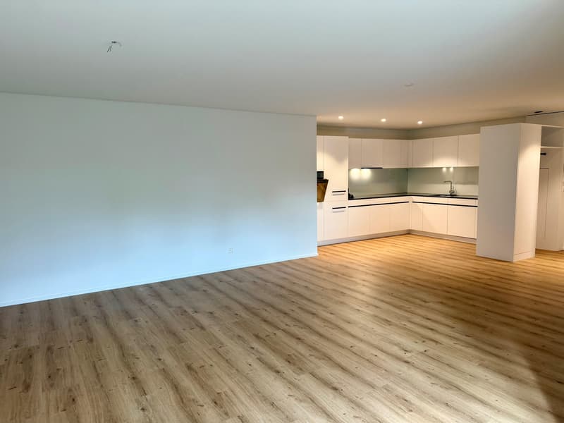 1.5 Zimmerwohnung in Rapperswil SG (3)
