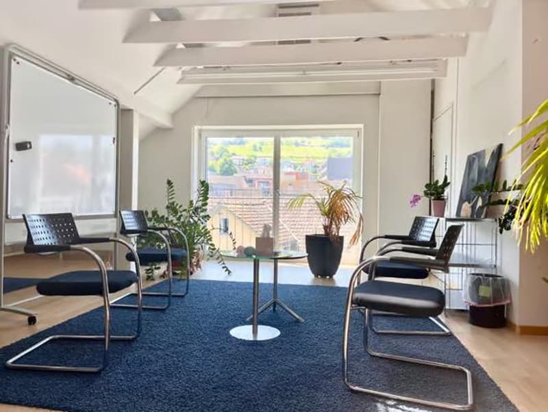 Charmantes Büro in Wädenswil (2)