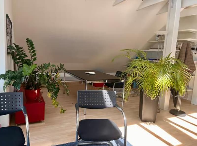 Charmantes Büro in Wädenswil (3)