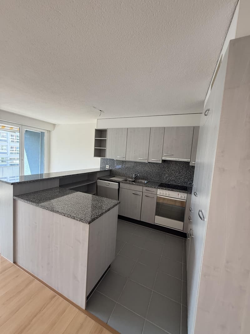 4-Zimmerwohnung in Zürich (2)