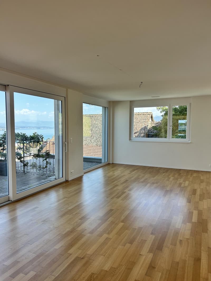4.5 Zimmerwohnung in Wädenswil (befristet bis 31.03.2028) (7)