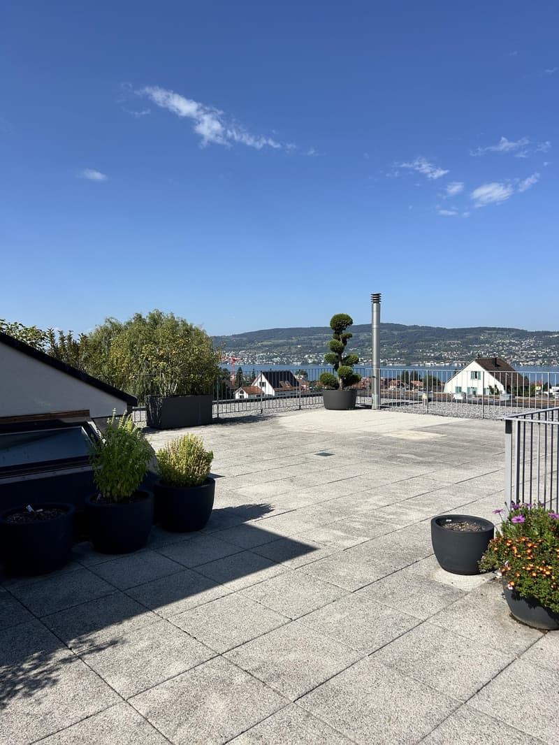 4.5 Zimmerwohnung in Wädenswil (befristet bis 31.03.2028) (2)