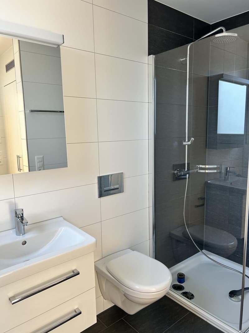 4.5 Zimmerwohnung in Wädenswil (befristet bis 31.03.2028) (10)