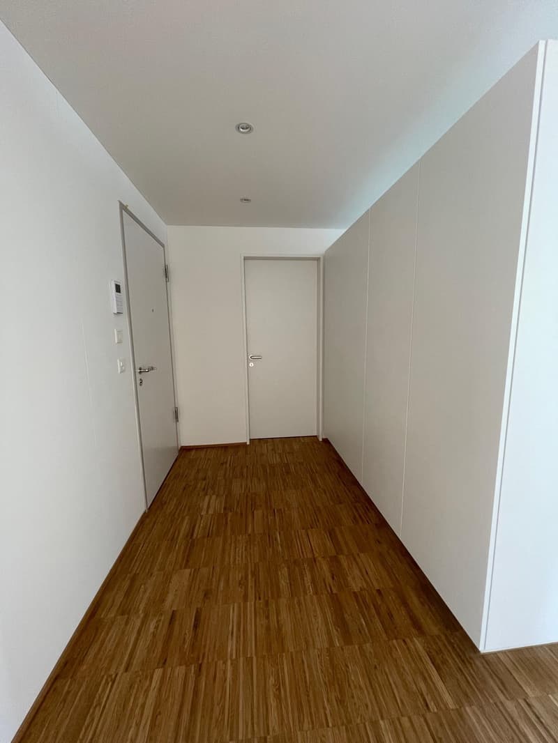 3.5 Zimmerwohnung in Wädenswil (9)