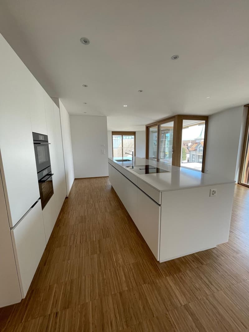 3.5 Zimmerwohnung in Wädenswil (4)
