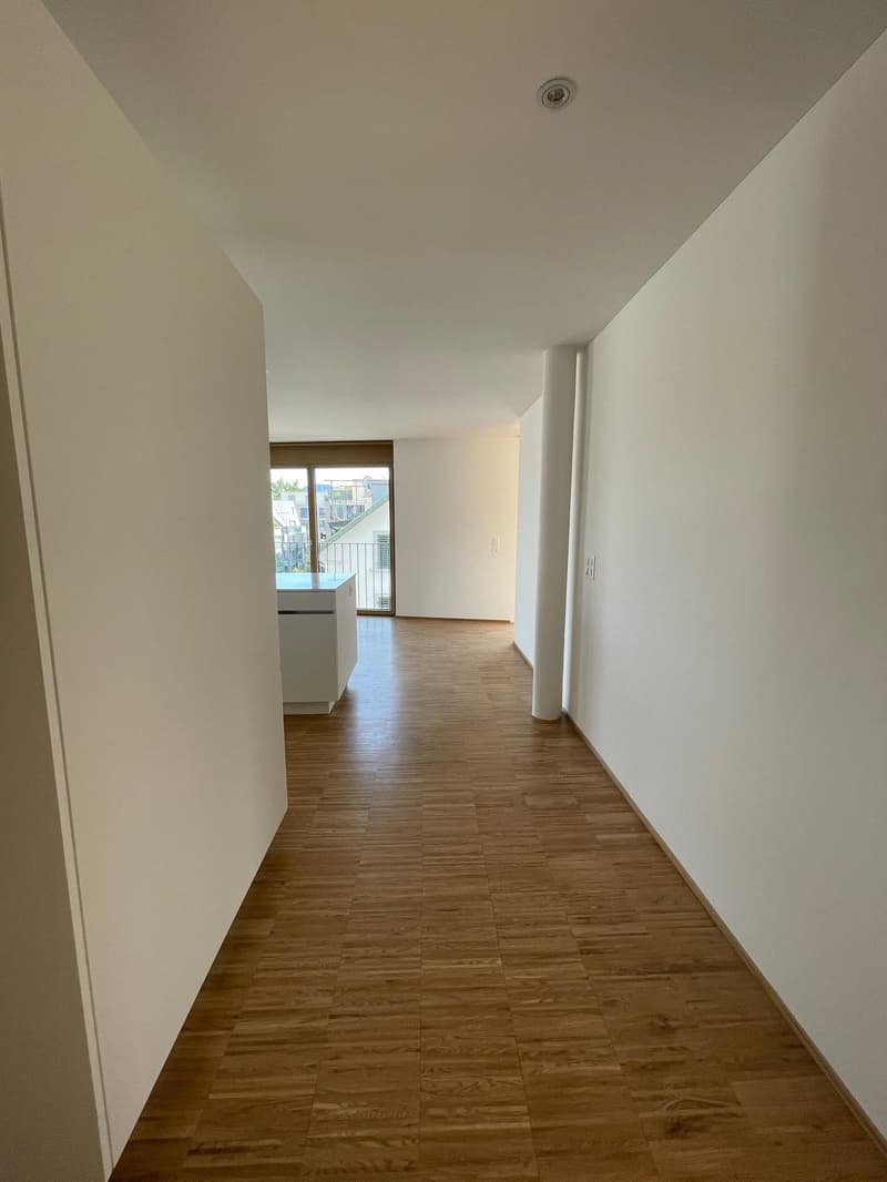 3.5 Zimmerwohnung in Wädenswil (10)