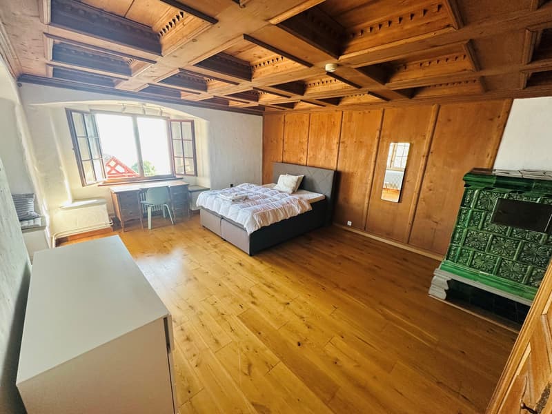 WG Zimmer möbliert 2. OG rechts hinten "Seeeck" 23 m2 (3)