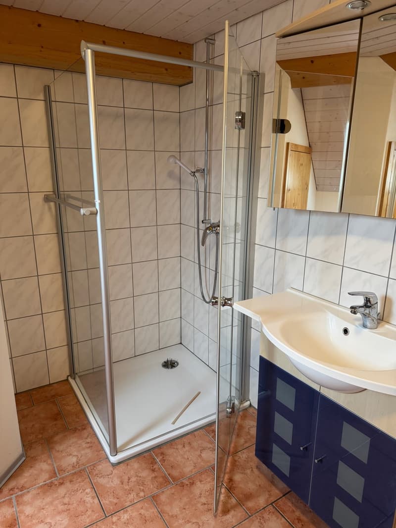 shower stall, sink, mirror, blue cabinets, tiled walls, tiled floor