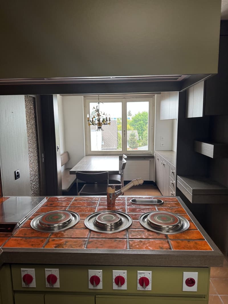 Grosszügige 5.5-Zimmer-Dachwohnung mit herrlichem Ausblick in Kleindöttingen (5)