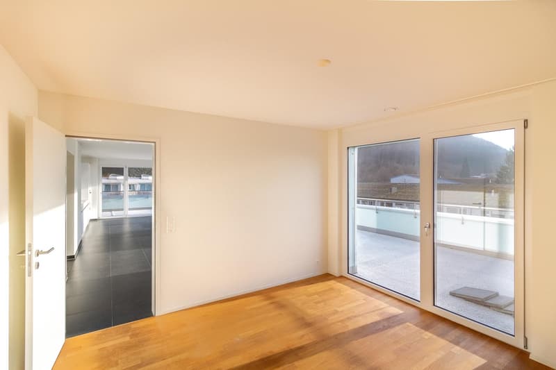 Helle 3½-Zimmer Attikawohnung mit grosser Terrasse (3)