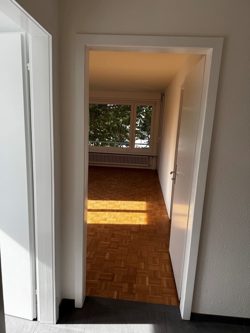 Charmante 3-Zimmer-Wohnung an der Seidenstrasse in Brugg (6)