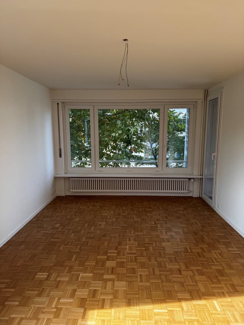 Charmante 3-Zimmer-Wohnung an der Seidenstrasse in Brugg (9)
