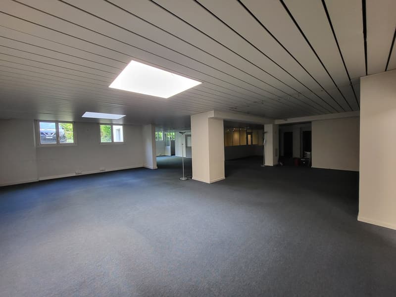 Large empty room, carpeted floor, windows, square skylight, white ceiling with stripes