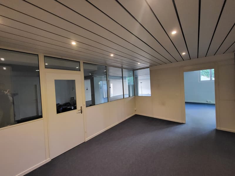 A room with grey carpet, large windows, doors, an entrance hall, bright lights on the ceiling, and an open room on the other side