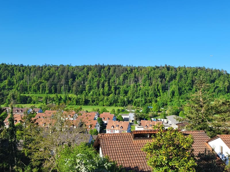 Modernes Neubauprojekt an attraktiver Hanglage von Glattfelden – Wohnen im Grünen mit Komfort (2)