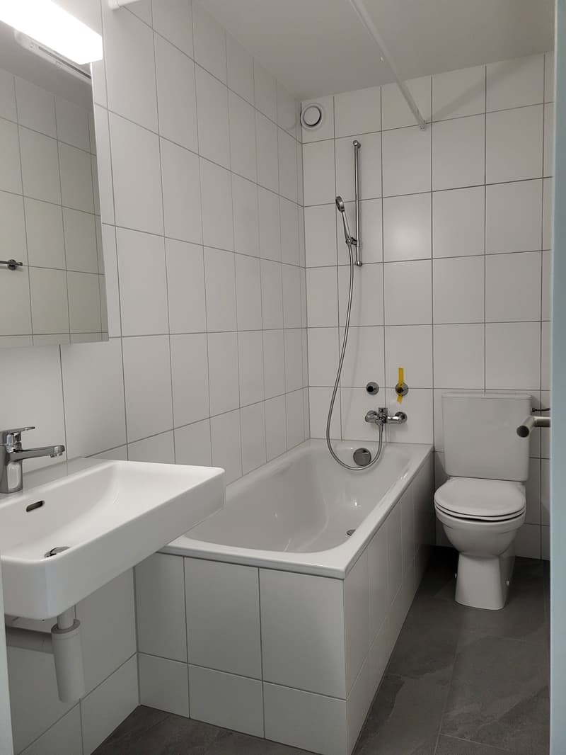 Helle neu sanierte 2.5 Zimmerwohnung! (7)