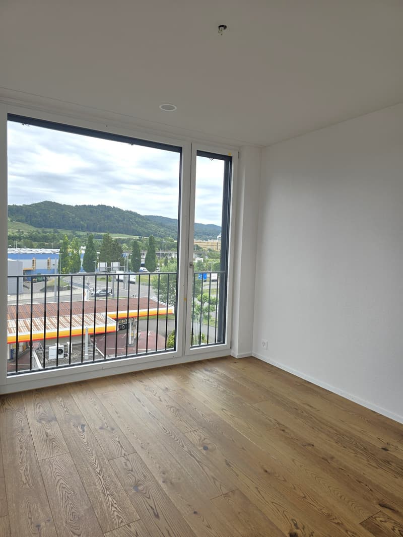 «Erstbezug» Moderne 3.5 Zimmer Attikawohnung mit grosser Dachterrasse, nur 20 Minuten von Zürich (5)