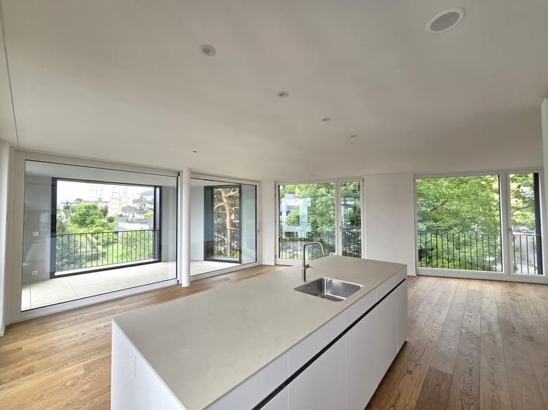 «Erstbezug» Moderne 4.5 Zimmer Neubauwohnungen, nur 20 Minuten von Zürich (5)