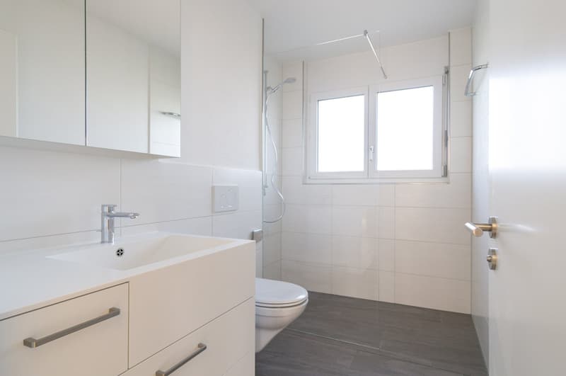 Attraktive sanierte, sonnige 3.5-Zimmerwohnung (10)