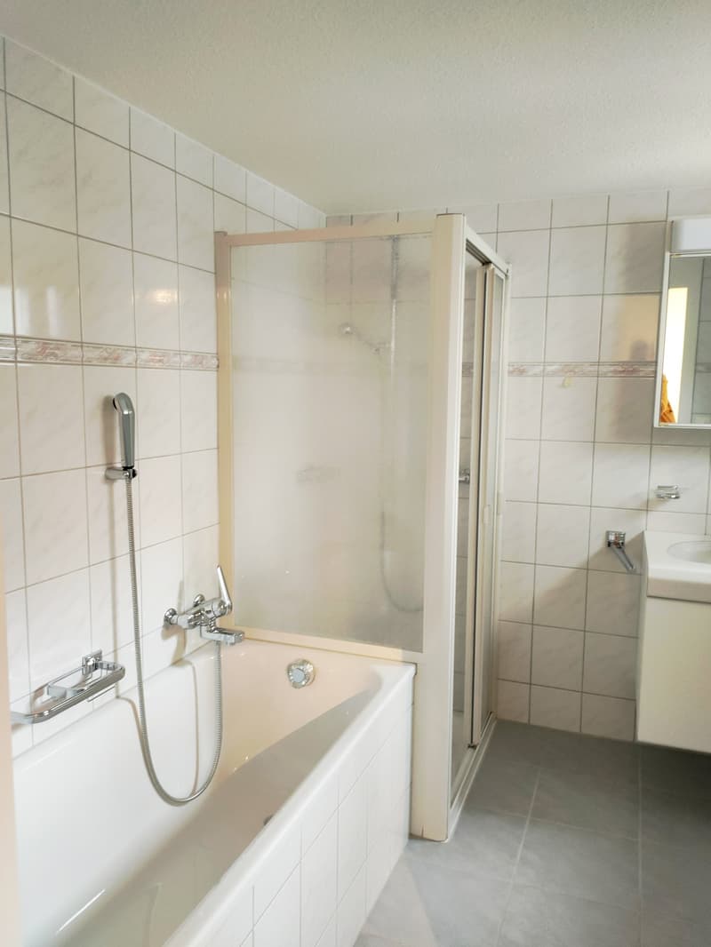 Historische 3 ½-Zimmerwohnung mit grossem Gartenbereich (8)