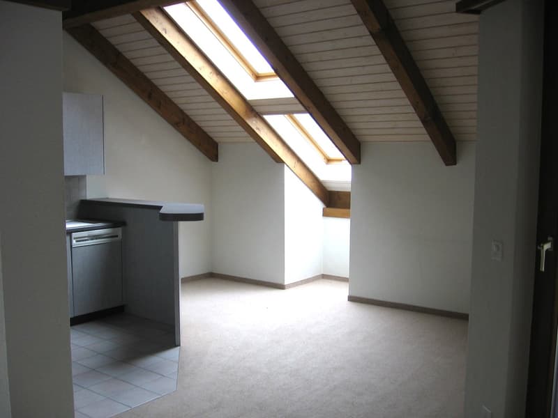 Schöne Maisonette-Dachwohnung für gemütliche Stunden (3)
