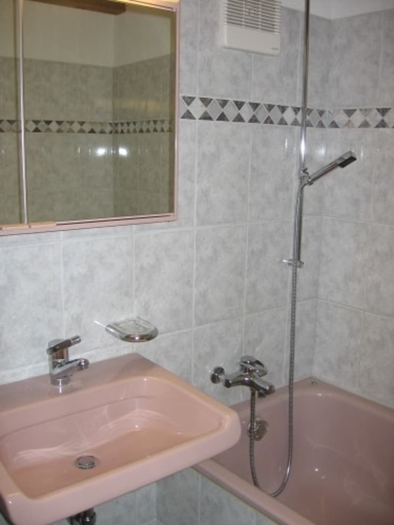 Schöne Maisonette-Dachwohnung für gemütliche Stunden (6)