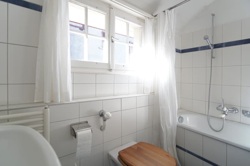 Attraktive möblierte Dachwohnung in der Altstadt (9)