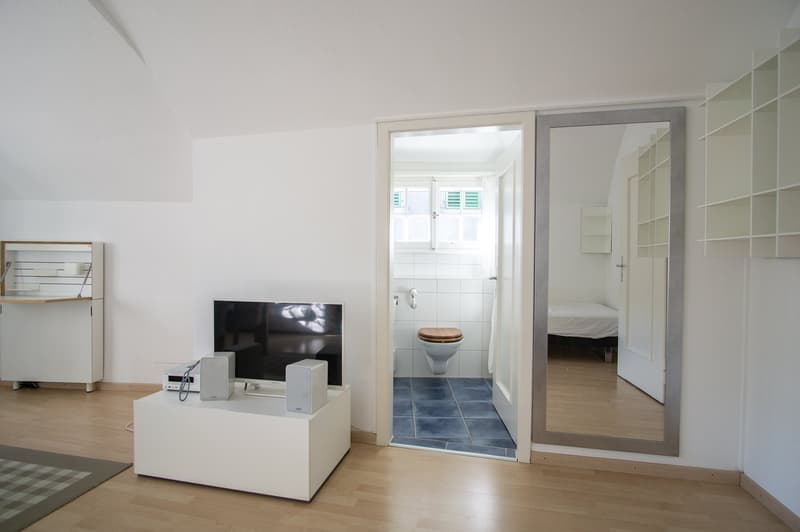Attraktive möblierte Dachwohnung in der Altstadt (3)