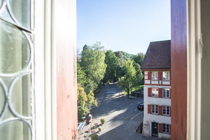 Attraktive möblierte Dachwohnung in der Altstadt (11)
