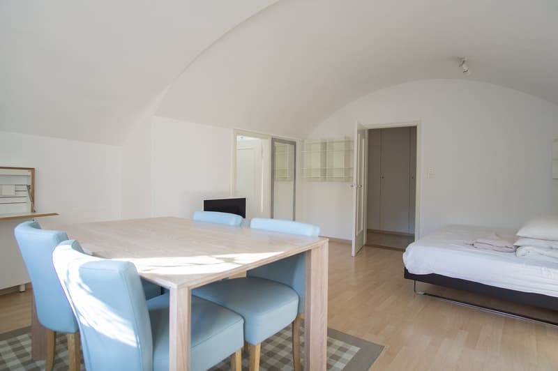 Attraktive möblierte Dachwohnung in der Altstadt (4)