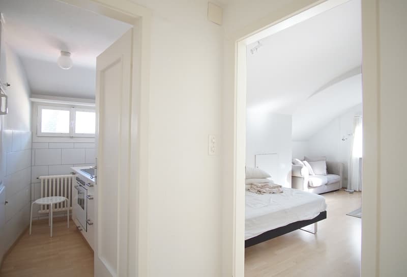 Attraktive möblierte Dachwohnung in der Altstadt (6)