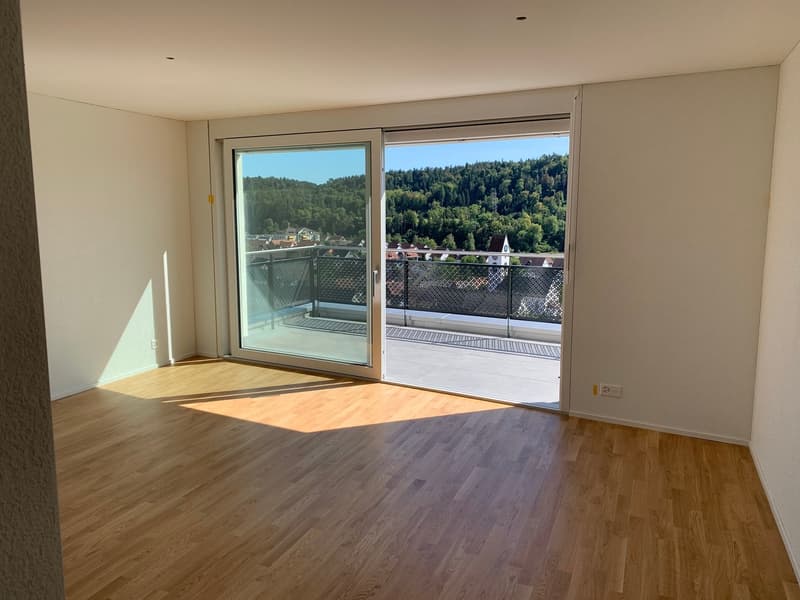 Moderne neue Attikawohnung an attraktiver Hanglage von Glattfelden – Wohnen im Grünen mit Komfort (4)