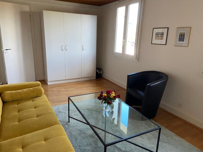 Möblierte 2-Zimmer-Dachwohnung - ideal für Singles (7)