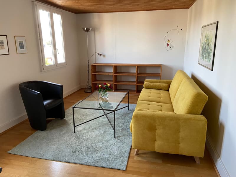 Möblierte 2-Zimmer-Dachwohnung - ideal für Singles (6)