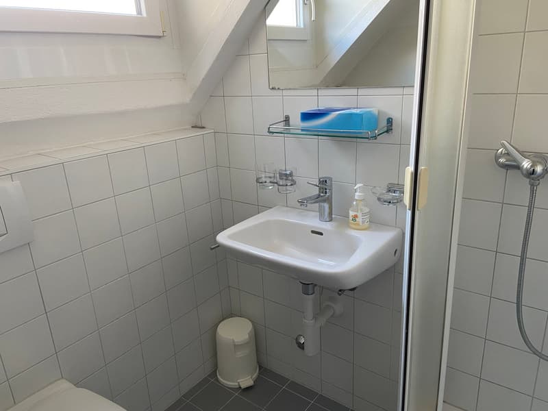 Möblierte 2-Zimmer-Dachwohnung - ideal für Singles (9)