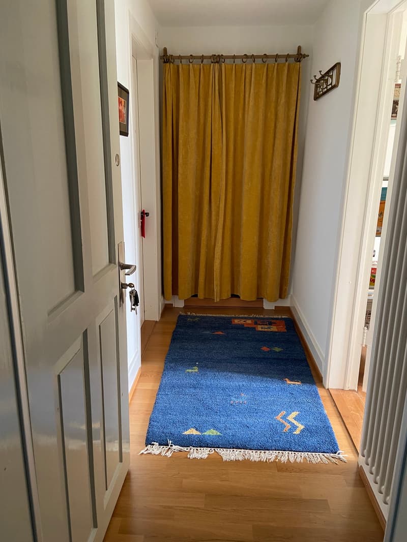 Möblierte 2-Zimmer-Dachwohnung - ideal für Singles (10)