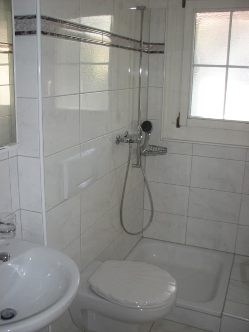 Grosszügige 5-Zimmer-Wohnung mit Cheminée und Balkon in Neerach (6)