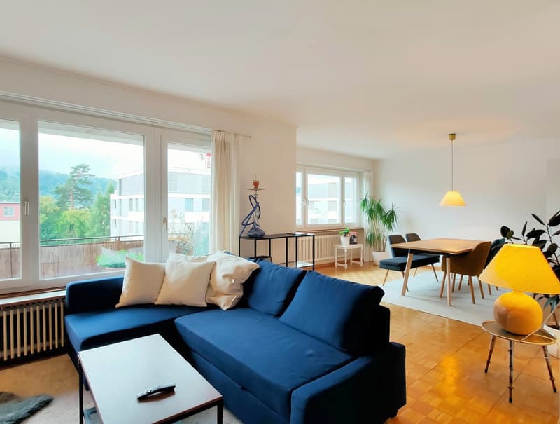 Charmante, grosszügige 2 1/2-Zimmerwohnung im 3. OG (2)