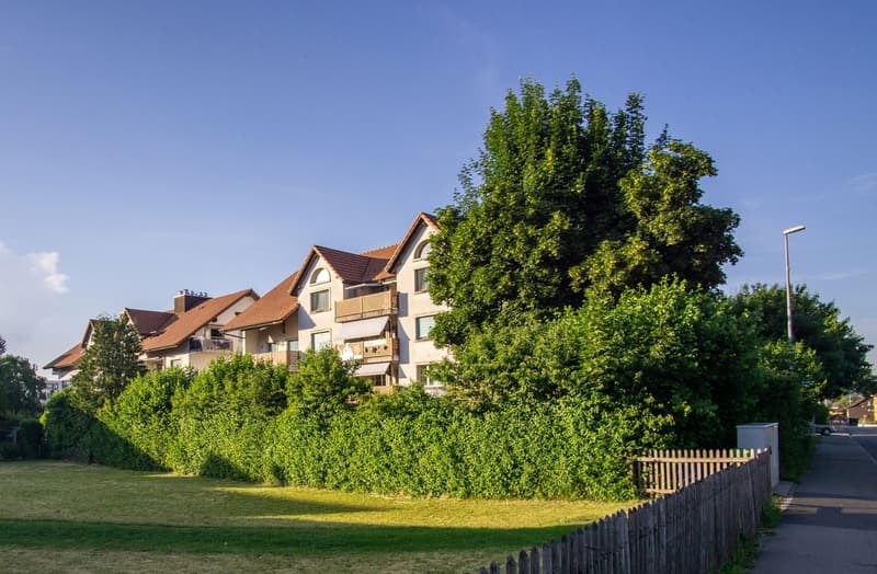 Neu renovierte Wohnung mit grossem Balkon! (2)