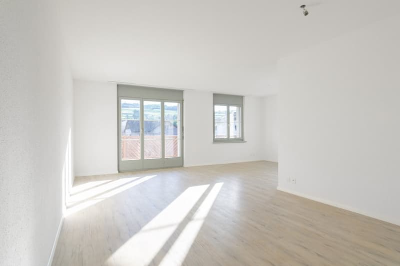 Neu renovierte Wohnung mit grossem Balkon! (3)