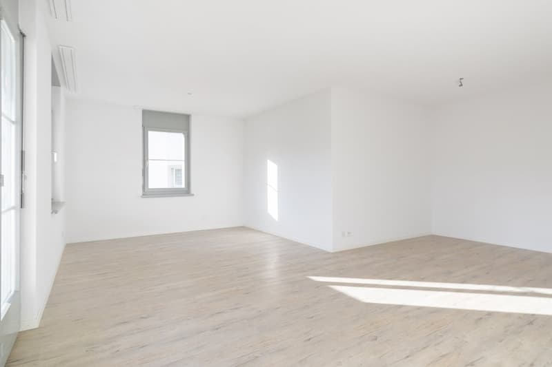Neu renovierte Wohnung mit grossem Balkon! (4)