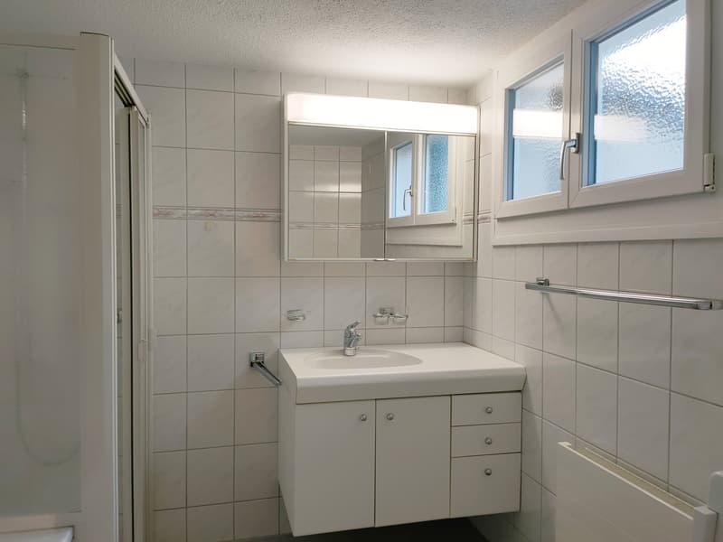 Historische 3 ½-Zimmerwohnung  mit grossem Gartenbereich (7)
