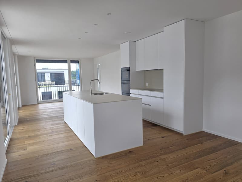 «Erstbezug» Moderne 3.5 Zimmer Attikawohnung mit grosser Dachterrasse, nur 20 Minuten von ZH (3)