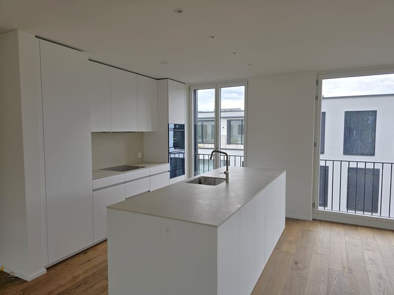 «Erstbezug» Moderne 4.5 Zimmer Neubauwohnungen, nur 20 Minuten von Zürich (3)