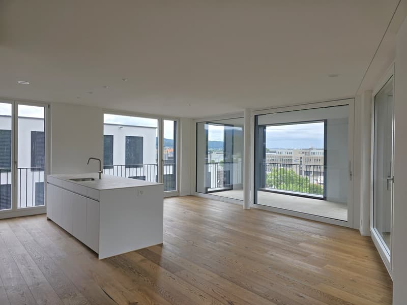 «Erstbezug» Moderne 4.5 Zimmer Neubauwohnungen, nur 20 Minuten von Zürich (2)