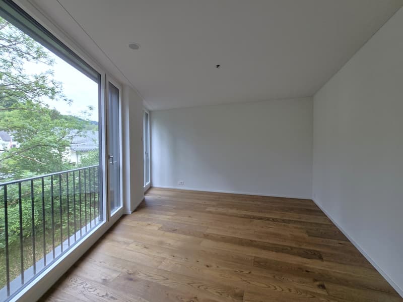 «Erstbezug» Moderne 4.5 Zimmer Neubauwohnungen, nur 20 Minuten von Zürich (5)