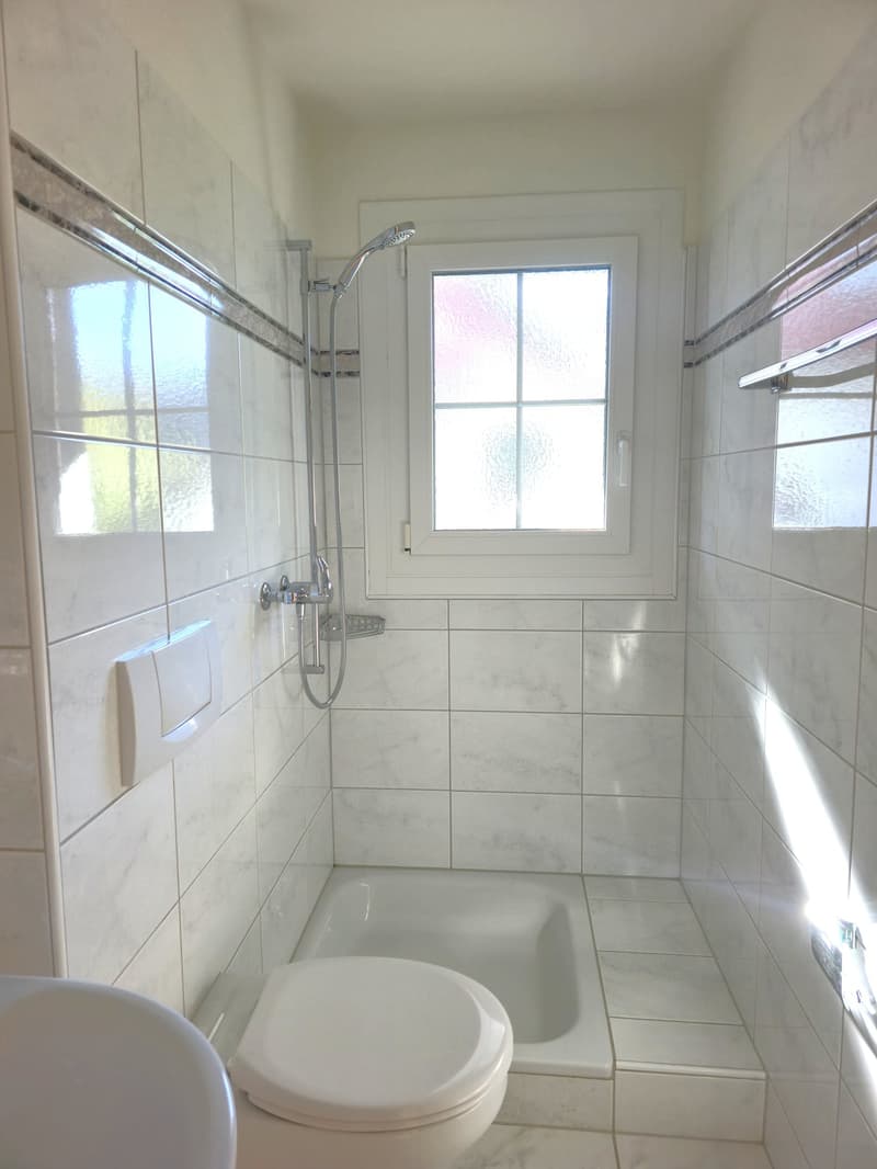 Grosszügige 5-Zimmer-Wohnung mit Cheminée und Balkon in Neerach (6)